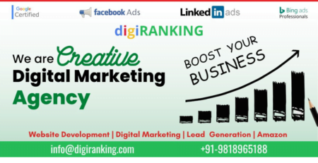 Digital Marketing Agency in Vaishali India